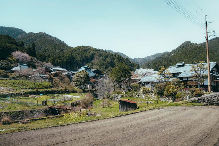 Kyoto: Hidden Gems and Local Neighborhoods - Gardens and Seasonal Quiet: Why the Calm Matters for Photos