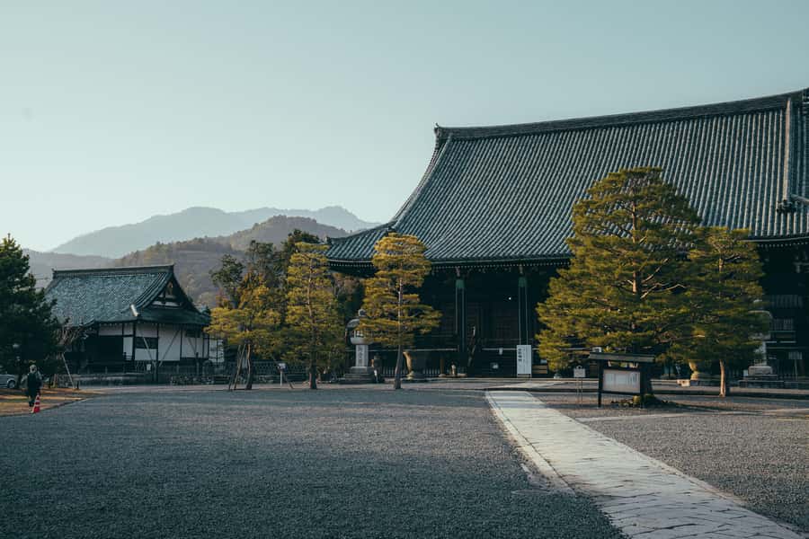 Kyoto: Hidden Gems and Local Neighborhoods - Tea Stop Energy: A Slow Break You Can Actually Enjoy