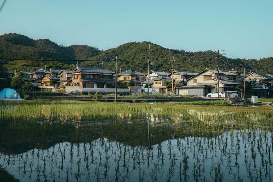 Kyoto: Hidden Gems and Local Neighborhoods - What’s Included (and What You’ll Pay For Along the Way)