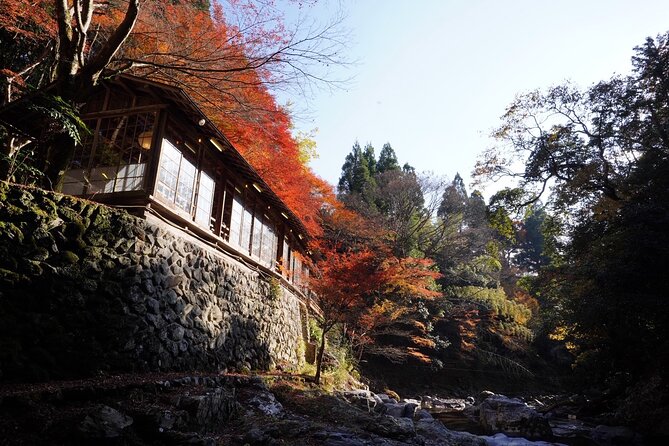 Kyoto Hidden Riverside Zen Mediation and Uji Matcha Experience - Price and value: what $105 gets you in Kyoto