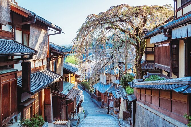Kyoto Higashiyama Walking Private Tour - Key things that make this Kyoto Higashiyama walk work