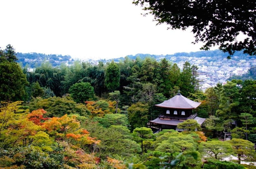 Kyoto: Highlights Guided Walking Tour - A 3–4 hour Kyoto loop that actually makes sense