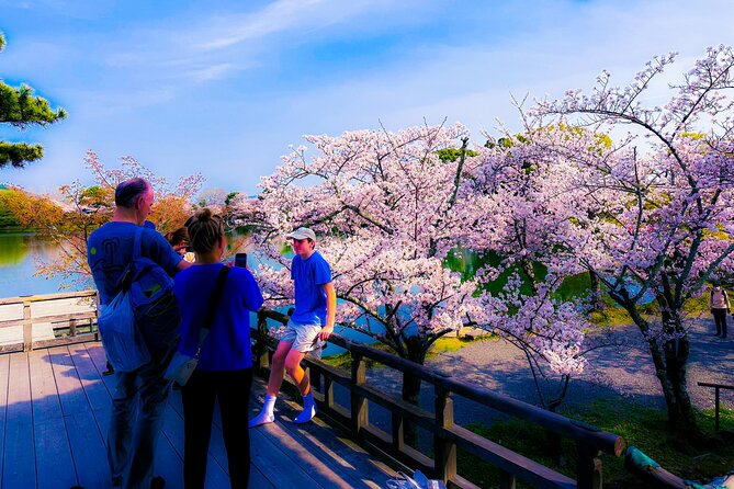 Kyoto Highlights & Hidden Gems in Nature (Private Van Eng-Guide) - The Geisha-area street stop: how to take photos without causing trouble