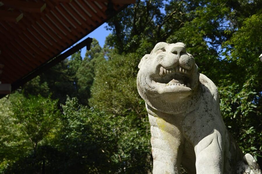 Kyoto: Hike and Hot Springs in Kurama - Price and what you really get for around $80