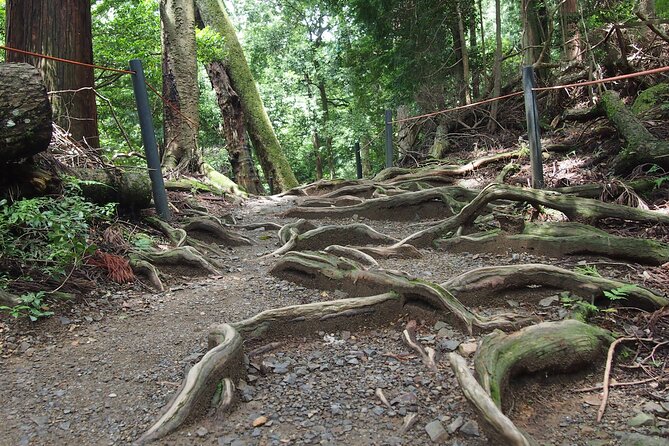 Kyoto Hiking Tour: The Nature and Legends of Kurama and Kibune - Guides and storytelling: names you might meet and what they do well