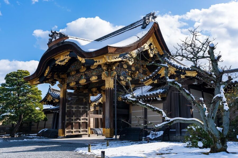 Kyoto: Imperial Palace & Nijo Castle Guided Walking Tour - Pacing, Weather, and What to Bring (Yes, the basics matter)