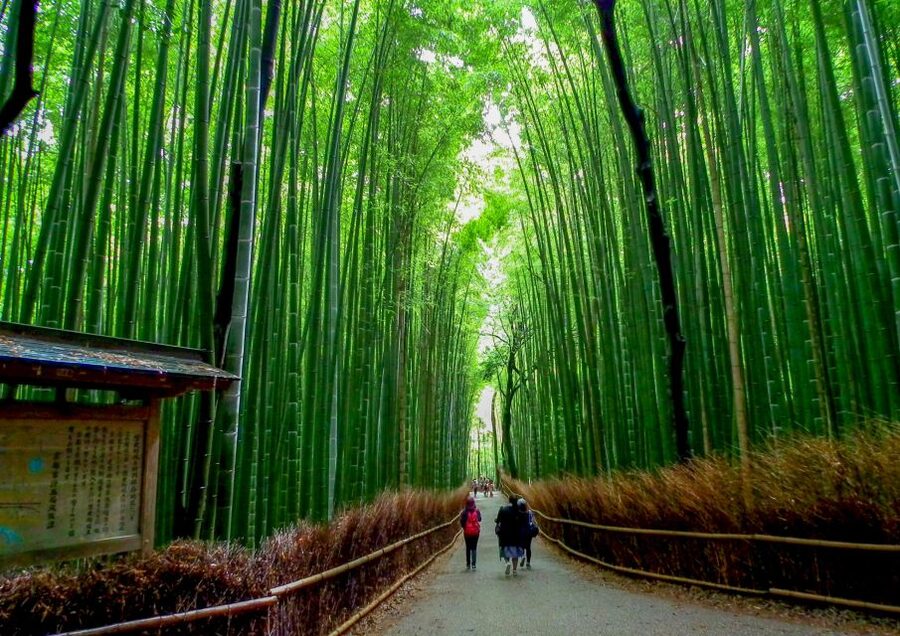 Kyoto: Japanese Gardens Private Customizable Tour - Key highlights I’d plan around