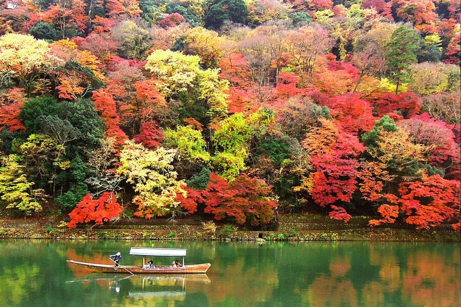 Kyoto: Japanese Gardens Private Customizable Tour - Should you book this Kyoto Zen garden private tour?
