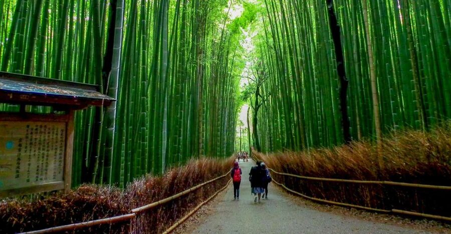 Kyoto: Japanese Gardens Private Customizable Tour - Why this Kyoto Zen garden tour feels different from DIY