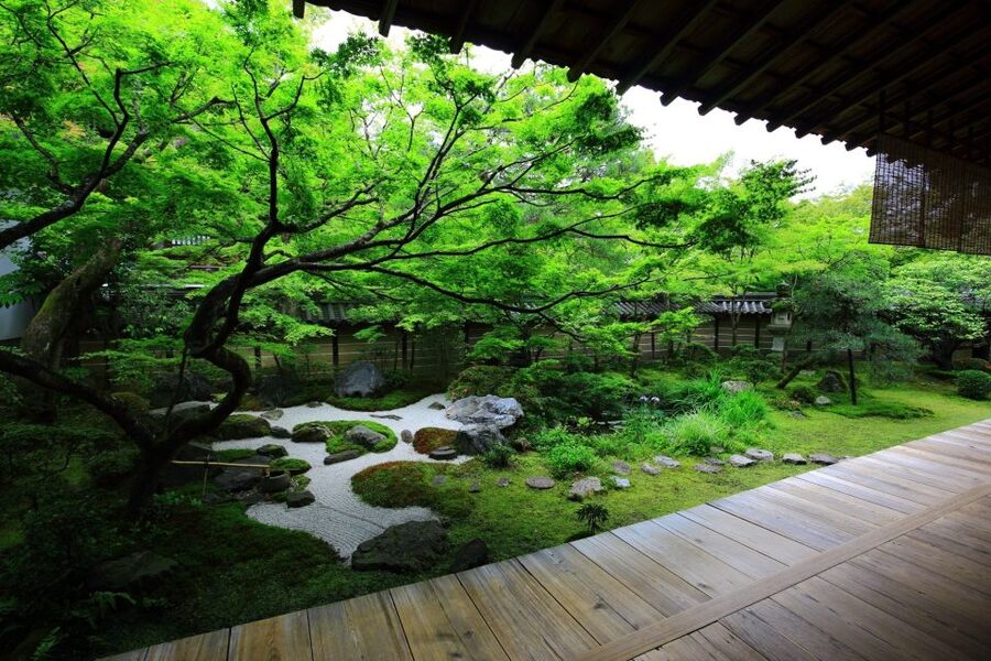 Kyoto: Japanese Gardens Private Customizable Tour - Rain, timing, and the small realities that affect your day