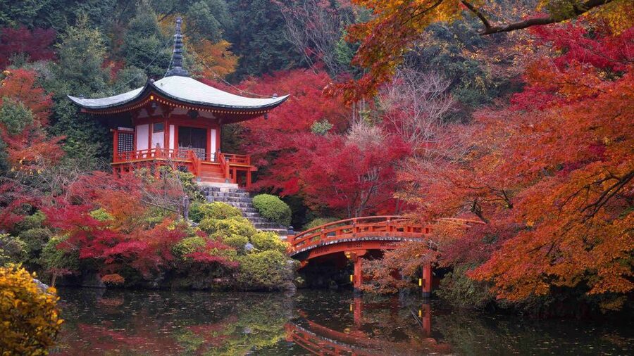 Kyoto: Japanese Gardens Private Customizable Tour - Who this tour suits best