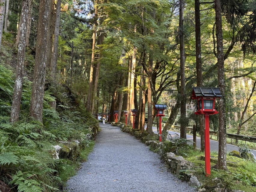 Kyoto: Kifune Shrine and the Sacred Kifune Valley Day Trip - Walking comfort and what to bring