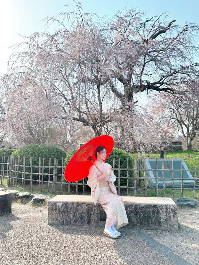 Kyoto: Kimono Rental Traditional Experience at Wargo in Gion - Hours, Returns, and the Evening Question