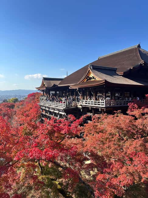 Kyoto: Kiyomizudera, Sanjusangendo, Kodaiji, and Gion. - Key moments that make this tour work