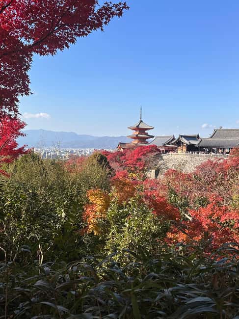 Kyoto: Kiyomizudera, Sanjusangendo, Kodaiji, and Gion. - Starting at Shichijō Station: how your day begins at 9:00