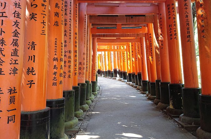 Kyoto Lazy Bird Walking Tour - Private guide quality: the human part that makes it fun