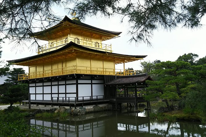 Kyoto Lazy Bird Walking Tour - Arashiyama Bamboo Grove: your first hour of calm (and cool air)