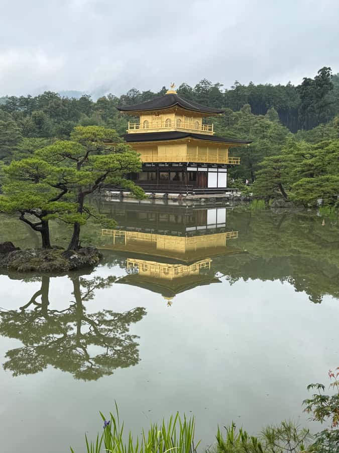Kyoto: Memory Kyoto E-Bike Tour - Value for about $91: what you’re paying for