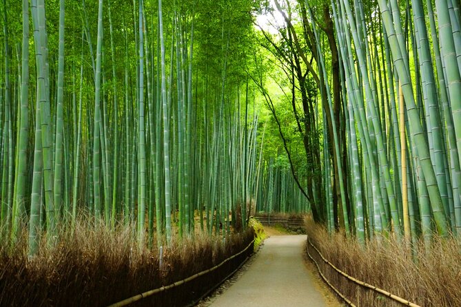Kyoto Morning Tour with English Speaking Guide - Arashiyama Monkey Park (Iwatayama): the included add-on you’ll probably like