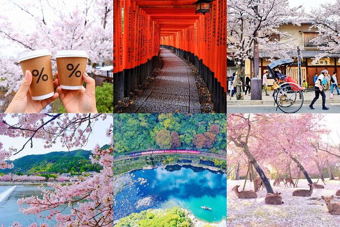 Kyoto-Nara Adventures Private Tour With Hotel Pick Up - What You’re Really Getting: Private Transport plus a Driver-Guide