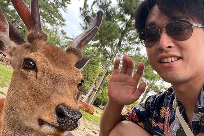 Kyoto & Nara Day Tour: Golden Pavilion, Fushimi Inari & Deer Park - Arashiyama bamboo forest in 40 minutes: calm, light, and quick photos