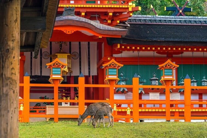 Kyoto & Nara Day Tour: Golden Pavilion, Fushimi Inari & Deer Park - Tenryū-ji temple gardens and Togetsu-kyo Bridge views