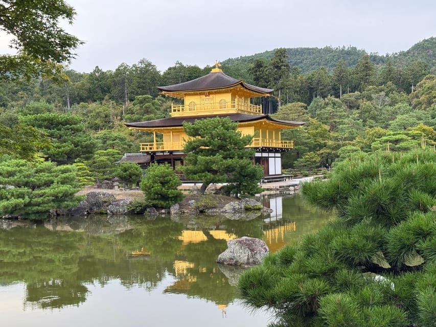 Kyoto & Nara Full Day Customised Tour - Nara Park: photos, walking time, and the deer factor