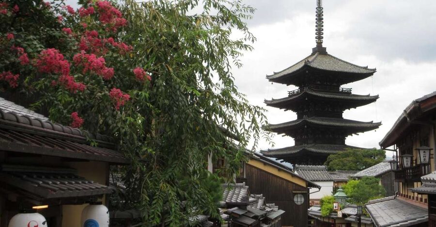 KYOTO-NARA: Giant Buddha Deer Pagoda "Geisya" (Italian, full day) - Price and Value: Is $176 Worth a Full-Day Italian Tour?