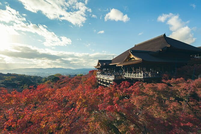 Kyoto&Nara&Osaka: One day private Customized Car tour - Kinkaku-ji (Golden Pavilion): why timing and pacing matter