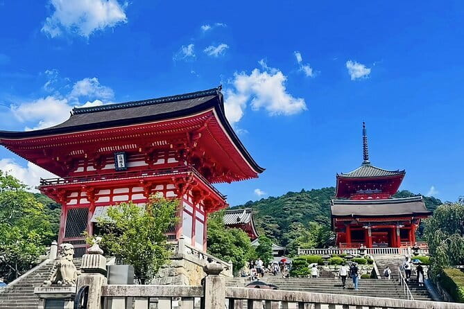 Kyoto&Nara&Osaka: One day private Customized Car tour - Bamboo Forest: when you want atmosphere over checklists