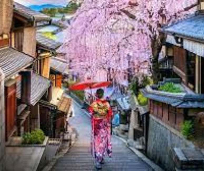 Kyoto & Nara Private Customized, Guided Tour - Simple Packing Notes That Actually Help