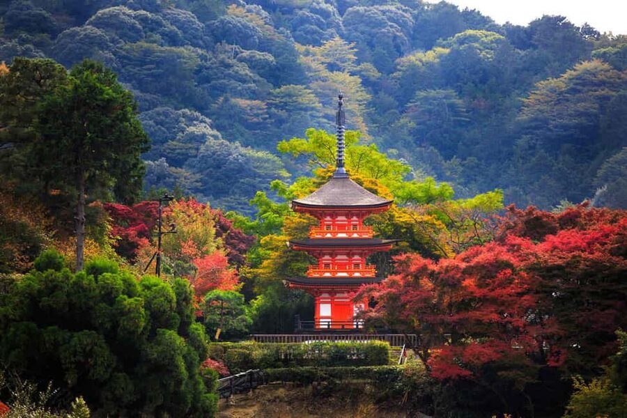 Kyoto & Nara Private Customized, Guided Tour - Skip the Ticket Hassle: What That Means for Your Day