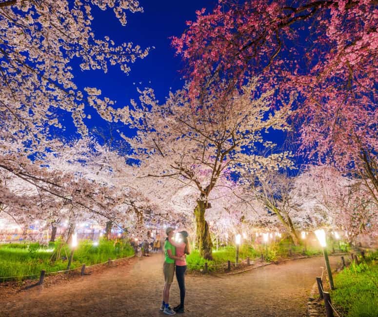 Kyoto & Nara Private Customized, Guided Tour - Price and Value: Is $438 Fair?