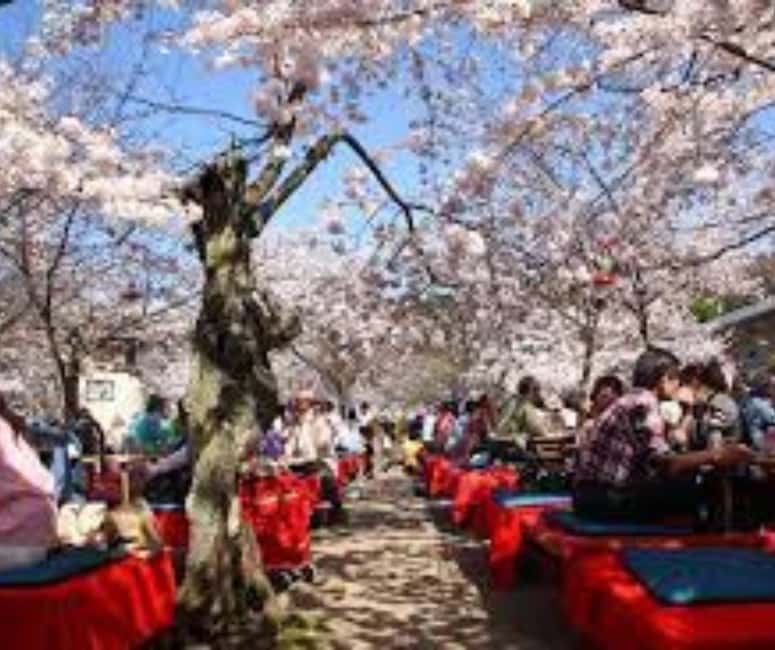 Kyoto & Nara Private Customized, Guided Tour - Who This Tour Suits Best