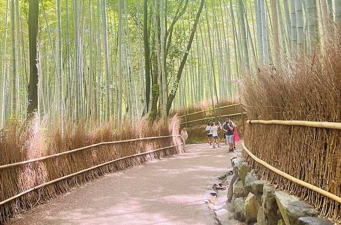 Kyoto & Nara: Private Day Tour by luxury Vehicle & English Guide - Arashiyama Bamboo Forest: a calm hour in a loud city