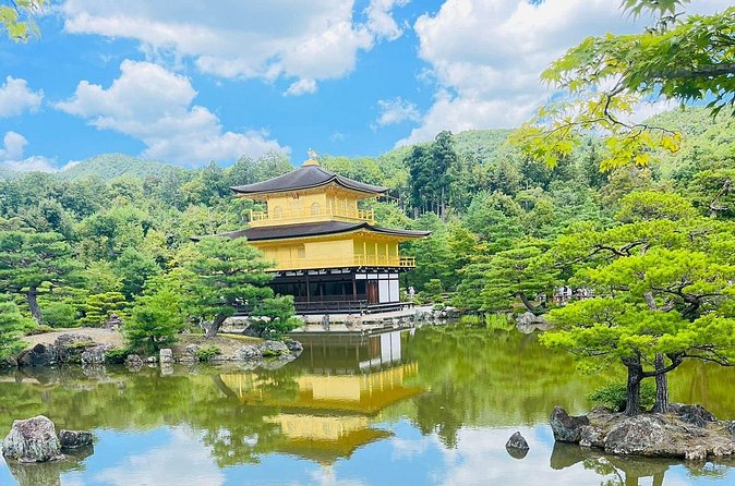 Kyoto & Nara: Private Day Tour by luxury Vehicle & English Guide - Nara Park and the deer that make the day feel human