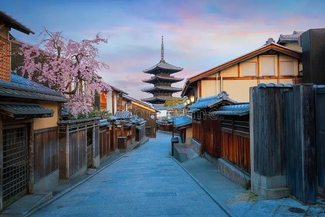 Kyoto & Nara: Private Day Tour by luxury Vehicle & English Guide - Fushimi Inari-taisha: torii gates on a guided, manageable loop