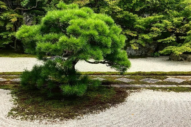 Kyoto&Nara Private Highlights Tour with English driver Pickup - Nara Park and Todai-ji: deer plus the world’s biggest Buddha