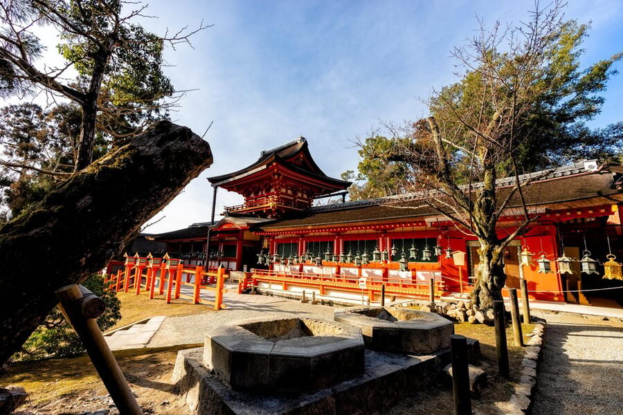 Kyoto: Nara, Todaiji, Kasuga Taisha Shrine Private Full Day - Key Things to Know Before You Go