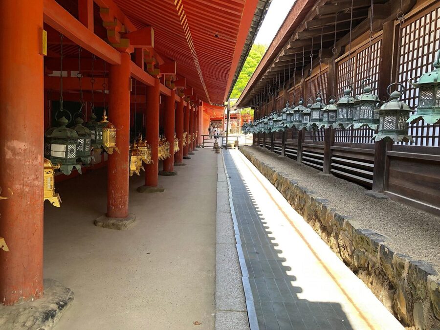 Kyoto: Nara, Todaiji, Kasuga Taisha Shrine Private Full Day - Todaiji: When the Great Buddha Takes Over the Room