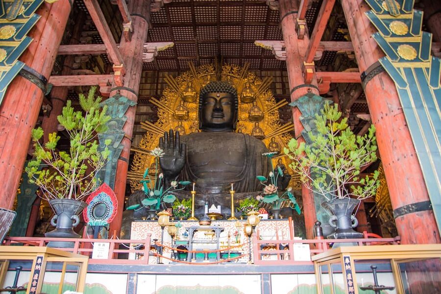 Kyoto: Nara, Todaiji, Kasuga Taisha Shrine Private Full Day - Kasuga Taisha Lanterns and the Naramachi Stroll That Feels Local