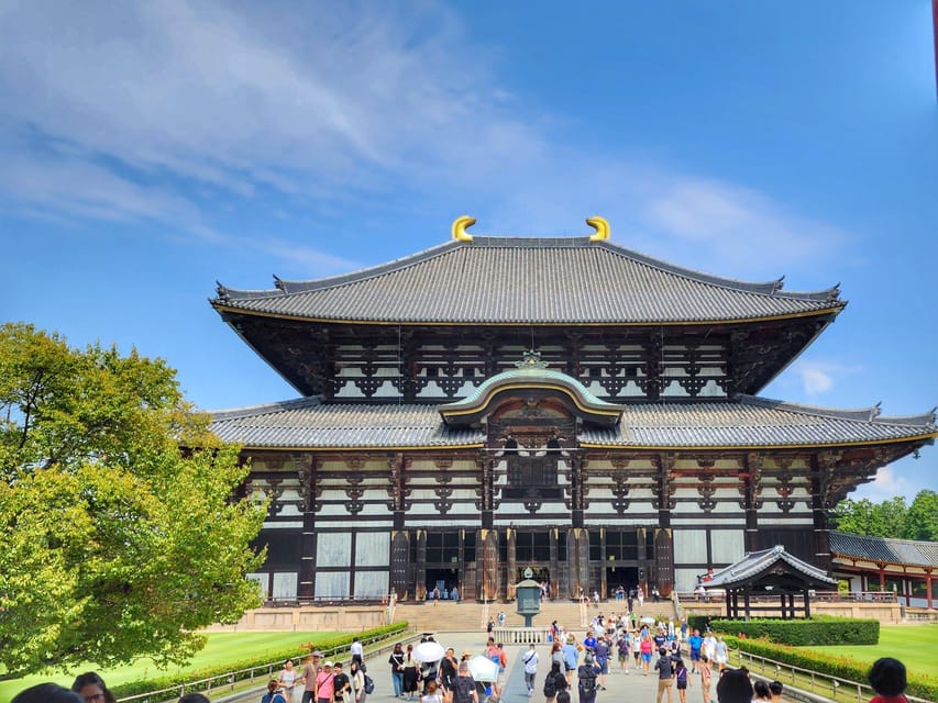 Kyoto: Nara, Todaiji, Kasuga Taisha Shrine Private Full Day - Morning Train to Nara: Fast Access, Less Stress