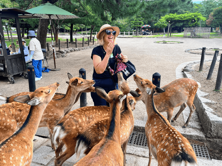 Kyoto: Nara & Traditional Matcha Experience Bus Tour - Key things I’d bookmark before you go