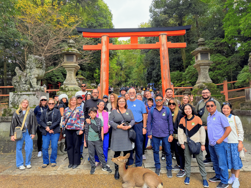 Kyoto: Nara & Traditional Matcha Experience Bus Tour - Nara Park and Todaiji: seeing the Great Buddha and then the deer up close