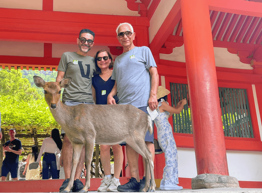 Kyoto: Nara & Traditional Matcha Experience Bus Tour - The guide effect: why the day feels smooth even when the sights are big