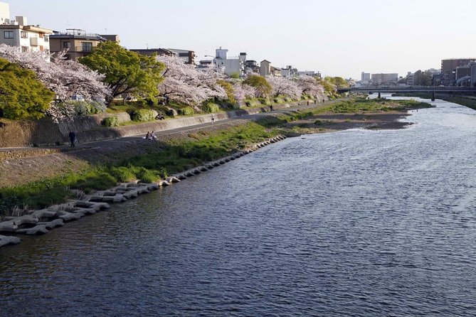 Kyoto Night Foodie Tour in Gion (9+ dishes + 6 Sake tastings) - The 3.5-Hour Flow: Where You’ll Walk and Why It Matters