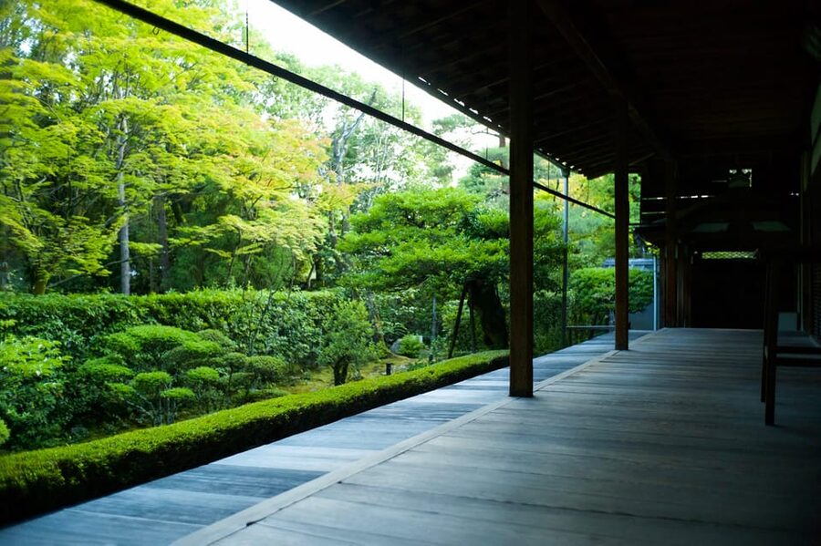 Kyoto: Nighttime Zen Meditation and Matcha Tea Experience - Key things you’ll remember