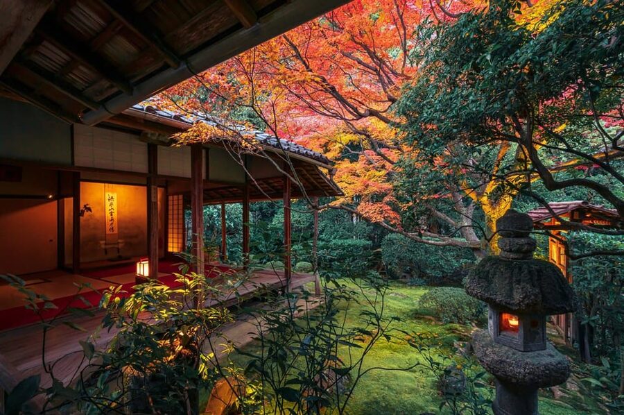 Kyoto: Nighttime Zen Meditation and Matcha Tea Experience - Sehakuan Tea Room and Kano Sansetsu Fusuma: Art, but With Atmosphere