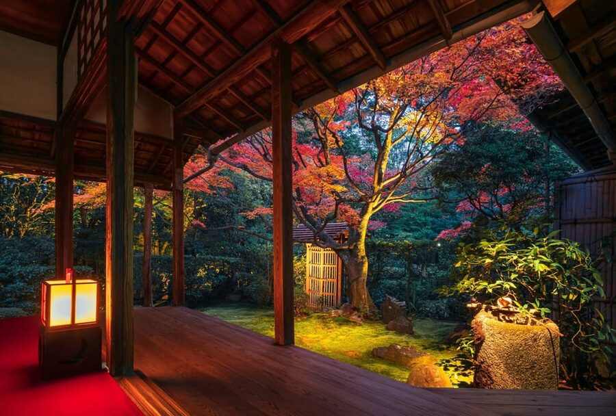 Kyoto: Nighttime Zen Meditation and Matcha Tea Experience - Meeting Keishunin: Four Illuminated Gardens and a Guided Sense of Place