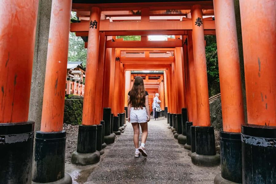 Kyoto: Nijo Castle, Kiyomizu & Fushimi Inari Guided Tour - Key things I’d watch for